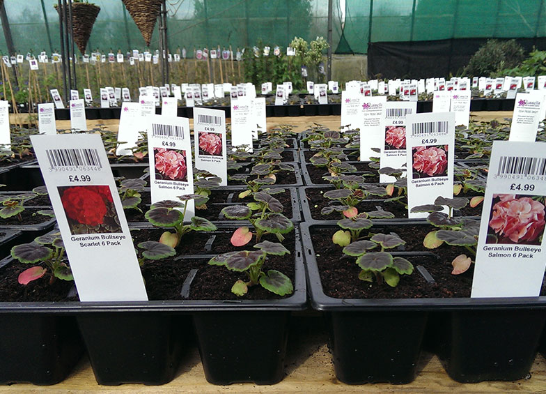 Professional Plant Labels UK -